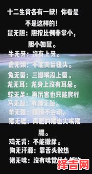 最笨拙的三生肖 深藏智慧的三生肖-第1张图片 最笨拙的三生肖 深藏智慧的三生肖-第1张图片