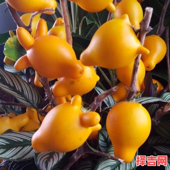 五代同堂指哪个生肖-第1张图片 五代同堂指哪个生肖-第1张图片