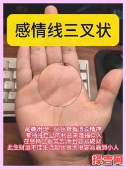 能够改变手相吗手相感情线图解-第1张图片