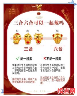 三昼三宵险象生猜属相-第1张图片