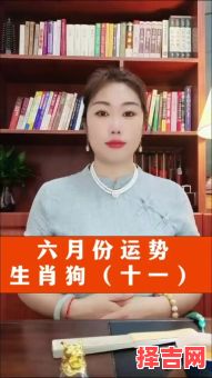 2013年属狗人运势-第1张图片