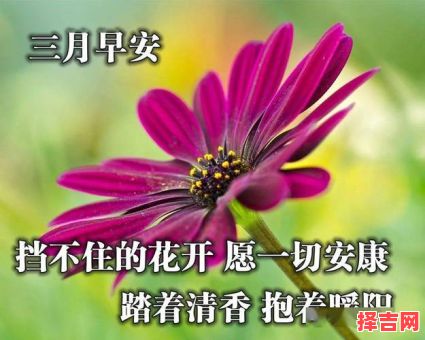 2023最美的祝愿-第1张图片