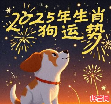1982年属狗人2025年运程 1982年属狗人2025年全年运势-第1张图片