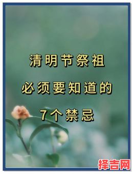 今年清明不宜扫墓是否属实 清明当日为何不宜扫墓-第1张图片