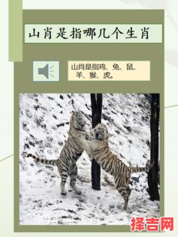 暗侵肌骨丧三层指的是哪个生肖-第1张图片