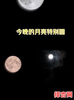 月满十五圆十六-第1张图片