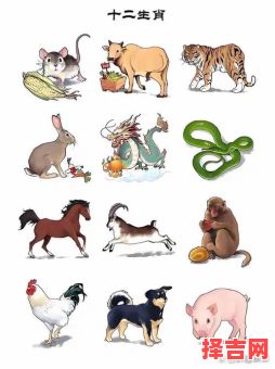 救命稻草指什么生肖-第1张图片