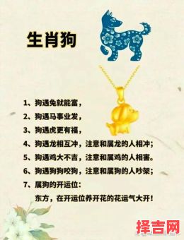 属蛇人宜养犬类品种及忌养属相-第1张图片