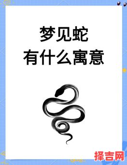 女人梦见一条大蛇有何寓意女人梦见许多蛇意味着什么-第1张图片
