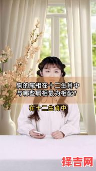 属狗和哪些属相相克，生肖狗和哪些属相最配-第1张图片