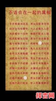 属蛇与属虎合作事业如何属虎与属蛇婚配关系如何-第1张图片