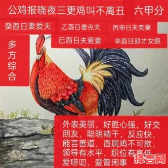 婆媳鸡狗属相合不合，狗牛属相合不合-第1张图片