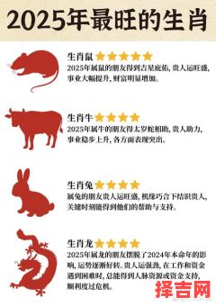 2025年属鼠运势详解及运程分析1984年出生的人-第1张图片