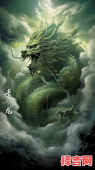 风花雪月猜一生肖-第1张图片