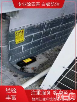 四害是指哪些-第1张图片