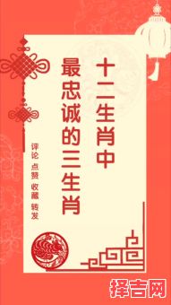 忠心侍主一生是哪个生肖-第1张图片