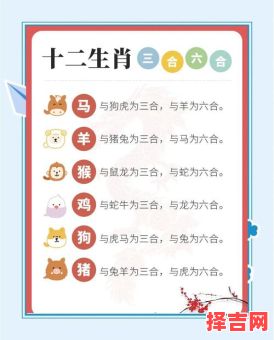 四九合单数福四五最佳属相-第1张图片