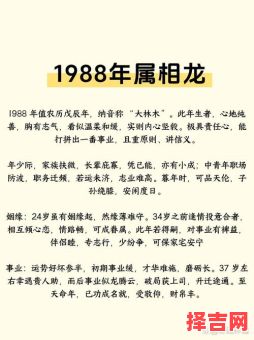 88年属龙人33岁后运势 1988年属龙何时转运-第1张图片