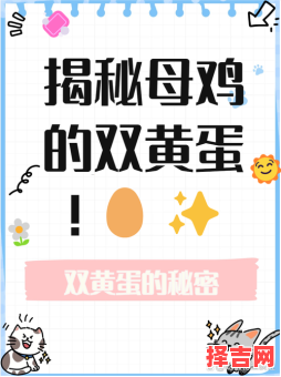 鸡在何时产双黄蛋-第1张图片