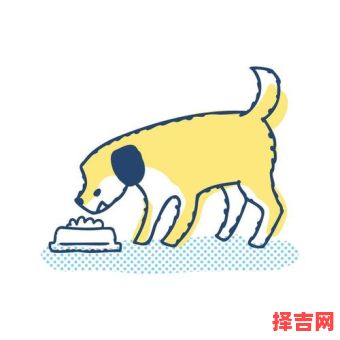 属猪本命年梦见离婚，生肖猪此年婚姻危机-第1张图片