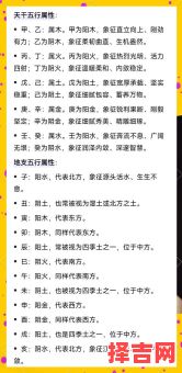 能免费测试姓名吗生辰八字起名免费取名打分-第1张图片