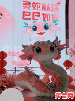 属蛇双子座女生吉祥物与属蛇摩羯座女生性格特点-第1张图片