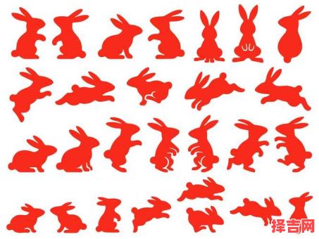 属马和属马婚配合适吗属马和属马能结婚吗-第1张图片