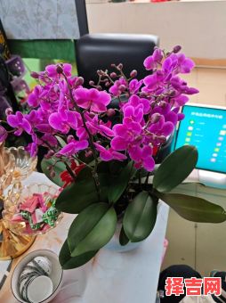 三八妇女节红包讲究有哪些-第1张图片