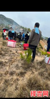 2025年起坟吉日 专业起坟团队-第1张图片 2025年起坟吉日 专业起坟团队-第1张图片