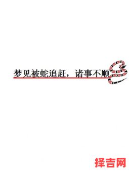 梦见被大蛇追赶-第1张图片