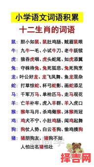 春风细雨代表什么生肖-第1张图片 春风细雨代表什么生肖-第1张图片