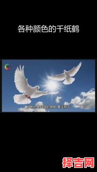 千纸鹤的寓意-第1张图片 千纸鹤的寓意-第1张图片