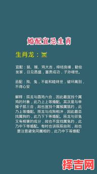 龙与猪属相婚配合不合马与猪的婚姻怎么样-第1张图片