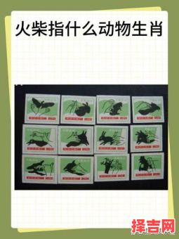 虎困洼地遭犬戏猜一生肖-第1张图片 虎困洼地遭犬戏猜一生肖-第1张图片