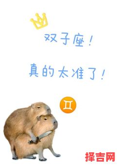 双子座是人品差吗，双子座是不是很差劲-第1张图片