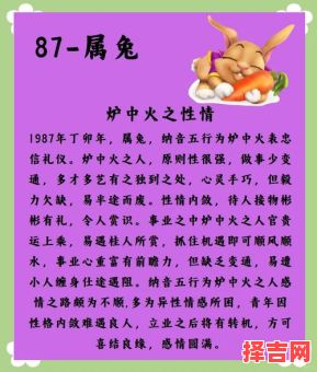 1987年兔火命何时发财1987年兔发财方向-第1张图片 1987年兔火命何时发财1987年兔发财方向-第1张图片