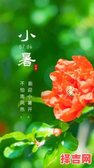 二零二零年小暑-第1张图片