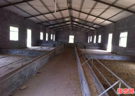 2025年四月修建圈舍吉日 圈舍养殖方式-第1张图片