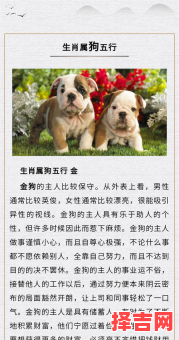 属狗2025年搬厂最佳日期查询 属狗2025年搬家吉日推荐-第1张图片