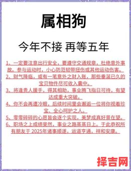 2025年属狗运势与运程解析 2025年属狗人运程如何-第1张图片