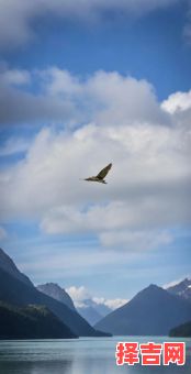 只识弯弓射大雕是指什么生肖-第1张图片