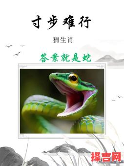 梦断魂消猜三个数字 梦断魂消猜一个准确生肖-第1张图片