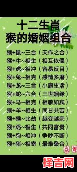 属鸡和属猪的人适合一起做生意吗，属猪和属鸡的人能合作共事吗-第1张图片