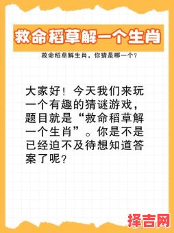 头撞南墙解一生肖答案 头撞南墙猜一生肖最佳解答-第1张图片 头撞南墙解一生肖答案 头撞南墙猜一生肖最佳解答-第1张图片