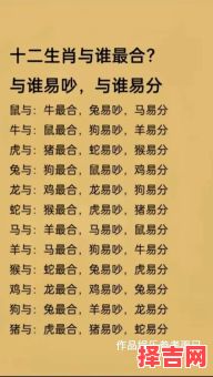 属狗和属兔婚配如何属兔与属鼠是否合适-第1张图片