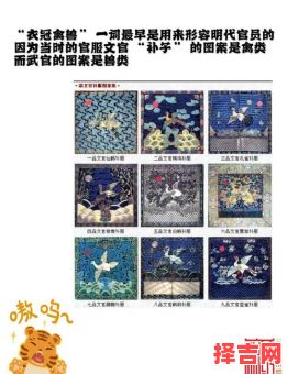 衣冠禽兽是哪一生肖-第1张图片 衣冠禽兽是哪一生肖-第1张图片