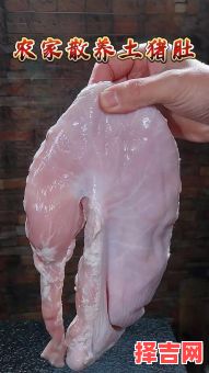 凤头猪肚指什么生肖

凤头猪肚代表什么生肖

凤头猪肚对应什么生肖

凤头猪肚解什么生肖

凤头猪肚是指什么生肖