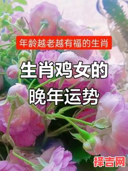 1969年属鸡女晚年运势如何属鸡女是什么命-第1张图片