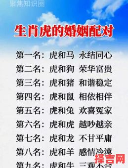 生肖虎最佳搭档生肖羊最佳搭档-第1张图片 生肖虎最佳搭档生肖羊最佳搭档-第1张图片