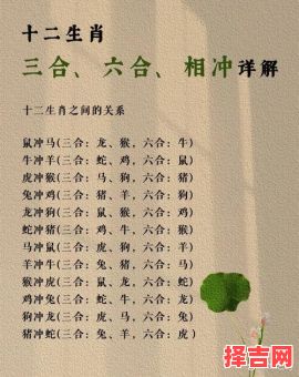 属马女和哪些属相最配与最旺-第1张图片